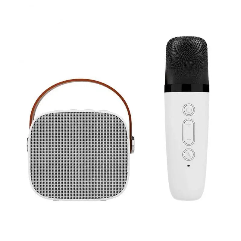 Mini Karaoke Machine Portable Speaker with 1-2 Wireless Microphones for Kids & Adults