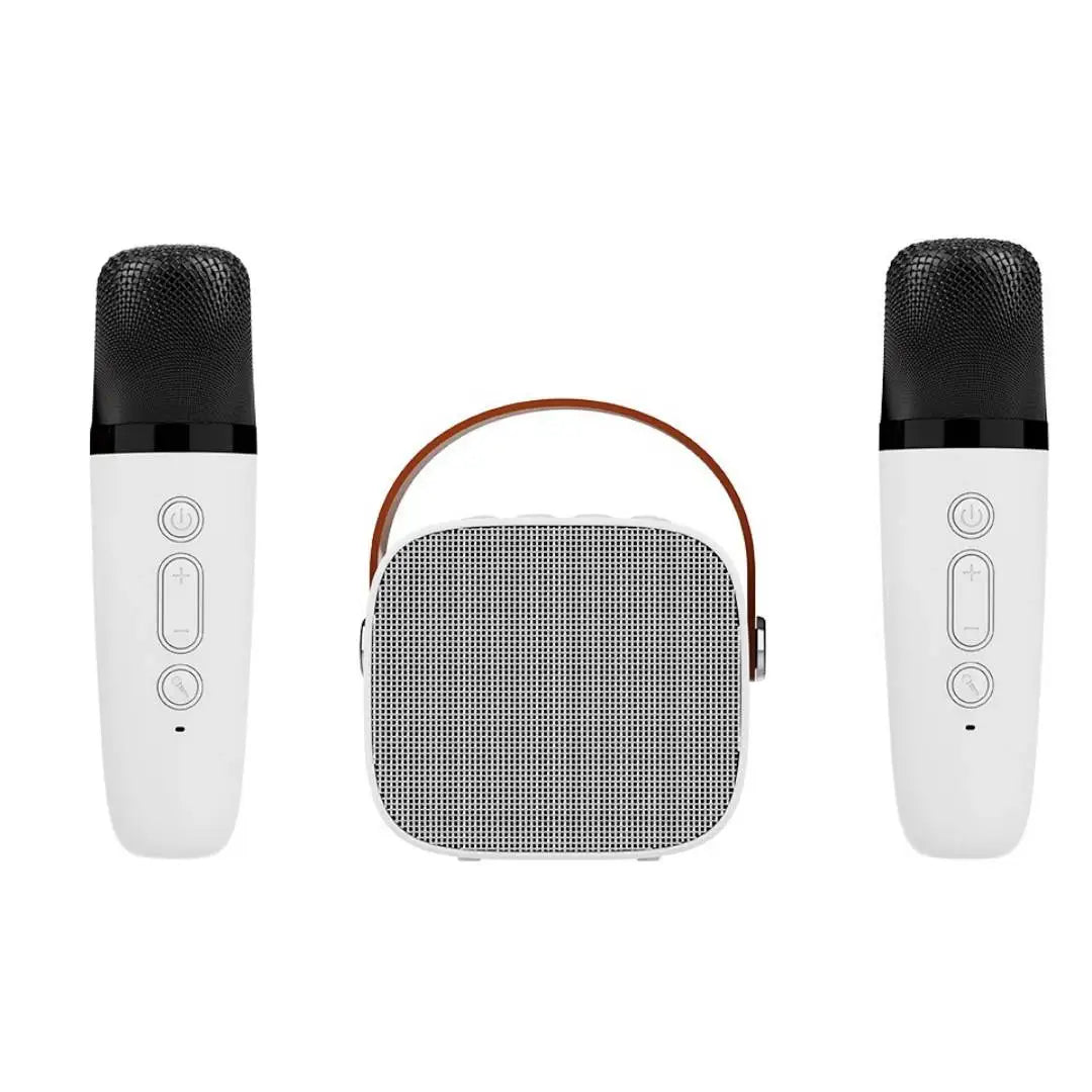 Mini Karaoke Machine Portable Speaker with 1-2 Wireless Microphones for Kids & Adults